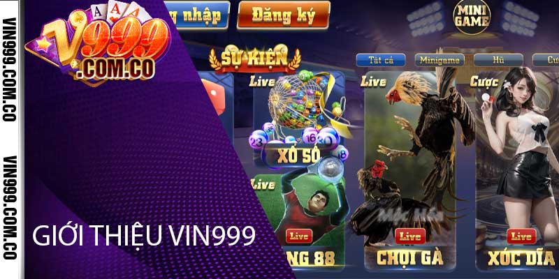 giới thiệu vin999