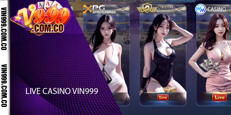 live casino vin999